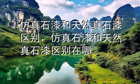 仿真石漆和天然真石漆區(qū)別，仿真石漆和天然真石漆區(qū)別在哪