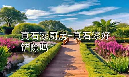 真石漆 廚房-真石漆好鏟除嗎