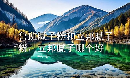 魯班膩?zhàn)臃酆土钅佔(zhàn)臃?，立邦膩?zhàn)幽膫€好