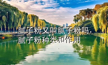 膩?zhàn)臃塾纸心佔(zhàn)臃蹎?，膩?zhàn)臃鄯N類和作用