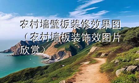 農(nóng)村墻壁板裝修效果圖（農(nóng)村墻板裝飾效圖片欣賞）