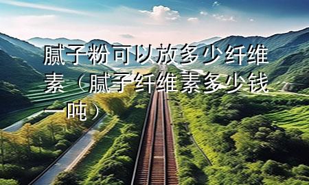 膩?zhàn)臃劭梢苑哦嗌倮w維素（膩?zhàn)永w維素多少錢一噸）