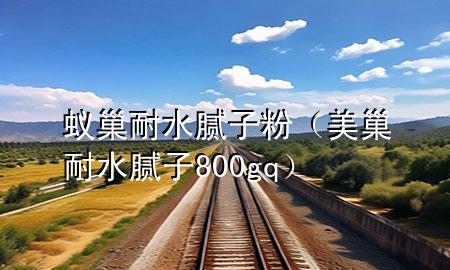 蟻巢耐水膩子粉（美巢耐水膩子800gq）