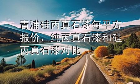 青浦硅丙真石漆每平方報價，純丙真石漆和硅丙真石漆對比
