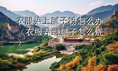 衣服染上膩子粉怎么辦（衣服弄到膩子怎么洗）