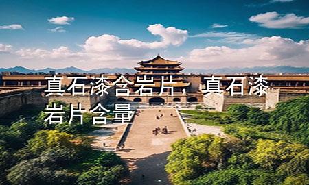 真石漆含巖片，真石漆巖片含量