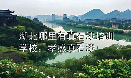 湖北哪里有真石漆培訓學校，孝感真石漆