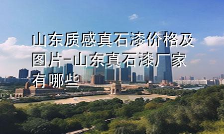 山東質(zhì)感真石漆價(jià)格及圖片-山東真石漆廠家有哪些