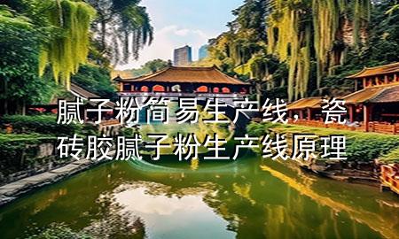 膩子粉簡易生產(chǎn)線，瓷磚膠膩子粉生產(chǎn)線原理