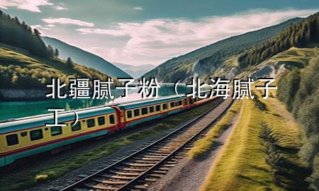 北疆膩子粉（北海膩子工）