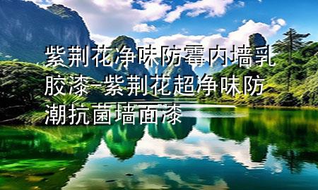 紫荊花凈味防霉內(nèi)墻乳膠漆-紫荊花超凈味防潮抗菌墻面漆