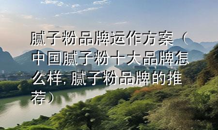 膩子粉品牌運作方案（中國膩子粉十大品牌怎么樣,膩子粉品牌的推薦）