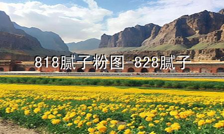 818膩?zhàn)臃蹐D-828膩?zhàn)?>
             </div>
             <!--文章無圖的情況下插入一張圖片end-->
              
      <p>大家好，今天小編關(guān)注到一個(gè)比較有意思的話題，就是關(guān)于818膩?zhàn)臃蹐D的問題，于是小編就整理了4個(gè)相關(guān)介紹818膩?zhàn)臃蹐D的解答，讓我們一起看看吧。</p><ol type=
