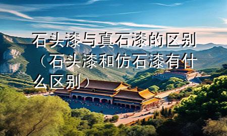 石頭漆與真石漆的區(qū)別（石頭漆和仿石漆有什么區(qū)別）