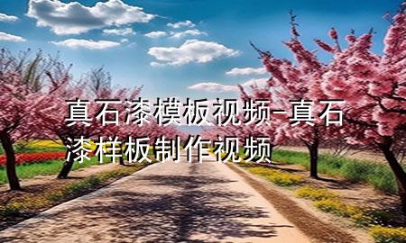 真石漆模板視頻-真石漆樣板制作視頻