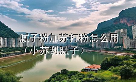 膩?zhàn)臃奂犹K打粉怎么用（小蘇刮膩?zhàn)樱?>
             </div>
             <!--文章無(wú)圖的情況下插入一張圖片end-->
              
      <p>大家好，今天小編關(guān)注到一個(gè)比較有意思的話題，就是關(guān)于膩?zhàn)臃奂犹K打粉怎么用的問(wèn)題，于是小編就整理了5個(gè)相關(guān)介紹膩?zhàn)臃奂犹K打粉怎么用的解答，讓我們一起看看吧。</p><ol type=