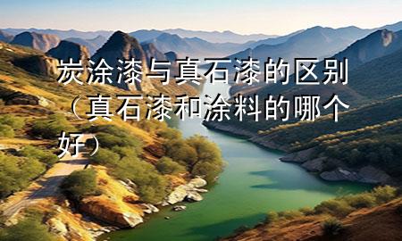 炭涂漆與真石漆的區(qū)別（真石漆和涂料的哪個(gè)好）