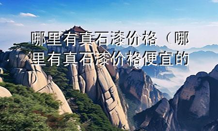 哪里有真石漆價格（哪里有真石漆價格便宜的）