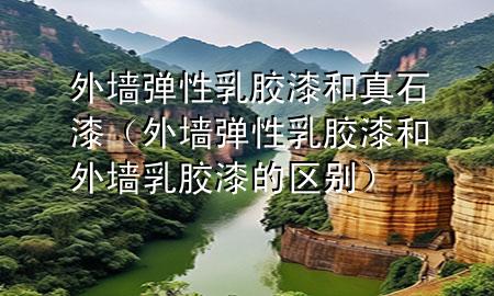 外墻彈性乳膠漆和真石漆（外墻彈性乳膠漆和外墻乳膠漆的區(qū)別）