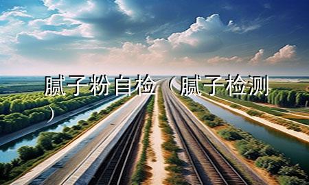 膩?zhàn)臃圩詸z（膩?zhàn)訖z測(cè)）