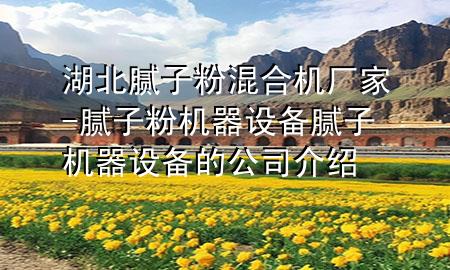 湖北膩子粉混合機(jī)廠家-膩子粉機(jī)器設(shè)備膩子機(jī)器設(shè)備的公司介紹