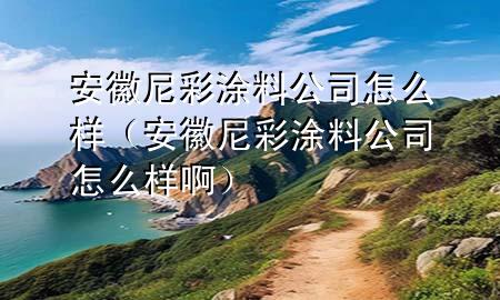 安徽尼彩涂料公司怎么樣（安徽尼彩涂料公司怎么樣啊）