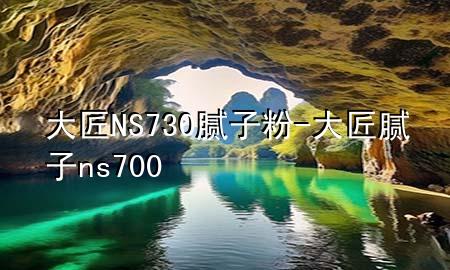 大匠NS730膩?zhàn)臃?大匠膩?zhàn)觧s700