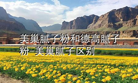 美巢膩?zhàn)臃酆偷赂吣佔(zhàn)臃?美巢膩?zhàn)訁^(qū)別