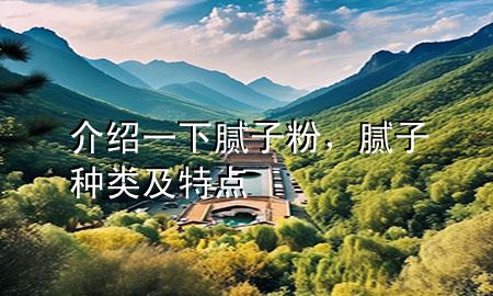 介紹一下膩子粉，膩子種類及特點