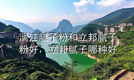 漓江膩子粉和立邦膩子粉好，立邦膩子哪種好