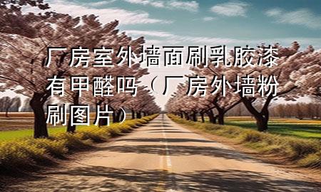 廠房室外墻面刷乳膠漆有甲醛嗎（廠房外墻粉刷圖片）