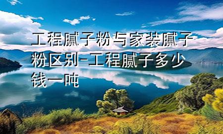 工程膩子粉與家裝膩子粉區(qū)別-工程膩子多少錢一噸