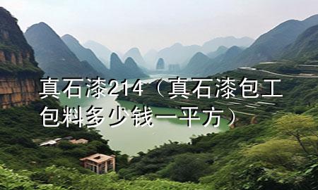 真石漆214（真石漆包工包料多少錢一平方）