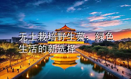無(wú)土栽培野生菜：綠色生活的新選擇