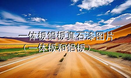 一體板 鋁板 真石漆圖片（一體板和鋁板）