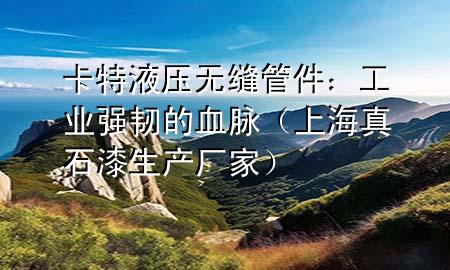 卡特液壓無縫管件：工業(yè)強(qiáng)韌的血脈（上海真石漆生產(chǎn)廠家）