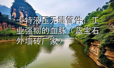 卡特液壓無(wú)縫管件：工業(yè)強(qiáng)韌的血脈（藍(lán)寶石外墻磚廠家）