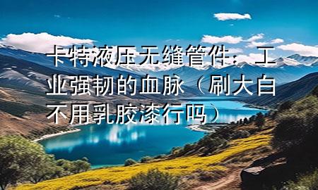 卡特液壓無縫管件：工業(yè)強(qiáng)韌的血脈（刷大白不用乳膠漆行嗎）