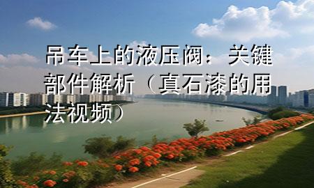 吊車上的液壓閥：關(guān)鍵部件解析（真石漆的用法視頻）