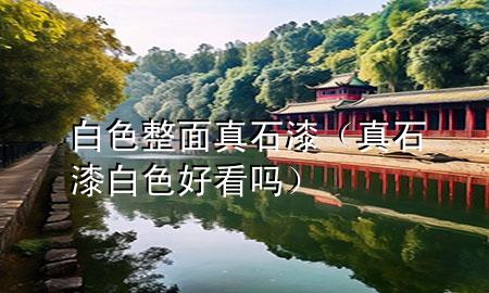 白色整面真石漆（真石漆白色好看嗎）