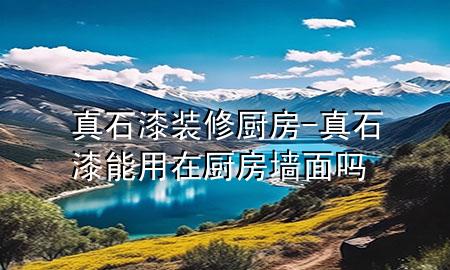 真石漆裝修廚房-真石漆能用在廚房墻面嗎