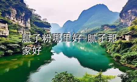 膩子粉哪里好-膩子那家好