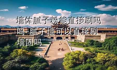 墻體膩子粉能直接刷嗎嗎-膩子墻可以直接刷墻固嗎