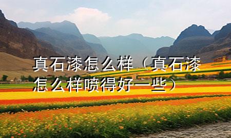 真石漆怎么樣（真石漆怎么樣噴得好一些）