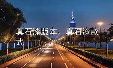 真石漆版本，真石漆款式