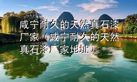 咸寧耐久的天然真石漆廠家（咸寧耐久的天然真石漆廠家地址）