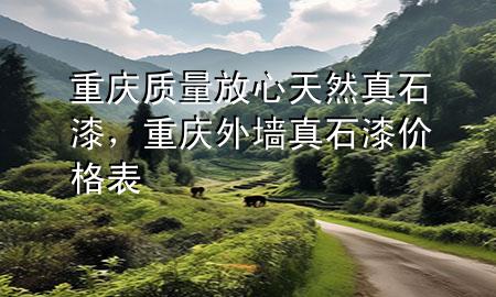 重慶質(zhì)量放心天然真石漆，重慶外墻真石漆價格表
