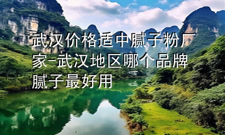 武漢價格適中膩子粉廠家-武漢地區(qū)哪個品牌膩子最好用