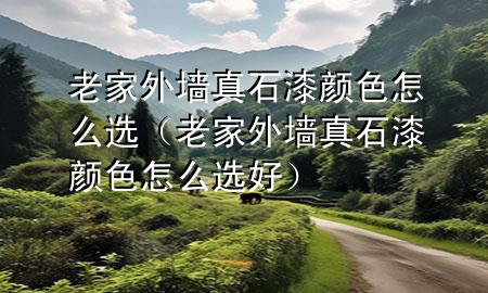 老家外墻真石漆顏色怎么選（老家外墻真石漆顏色怎么選好）