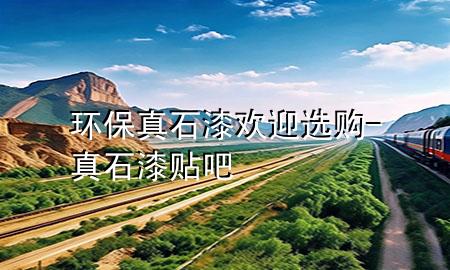 環(huán)保真石漆歡迎選購-真石漆貼吧